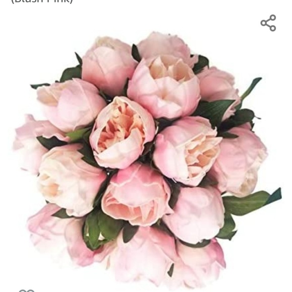 Meet your Posher, Gwendolyn - Picture 1 of 1